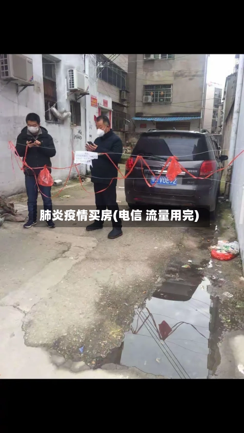 肺炎疫情买房(电信 流量用完)-第2张图片