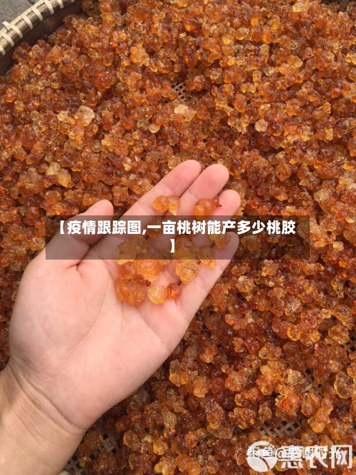 【疫情跟踪图,一亩桃树能产多少桃胶】