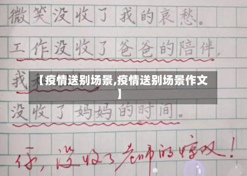 【疫情送别场景,疫情送别场景作文】-第3张图片
