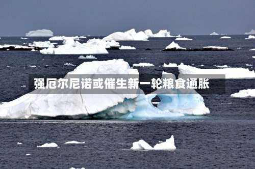 强厄尔尼诺或催生新一轮粮食通胀