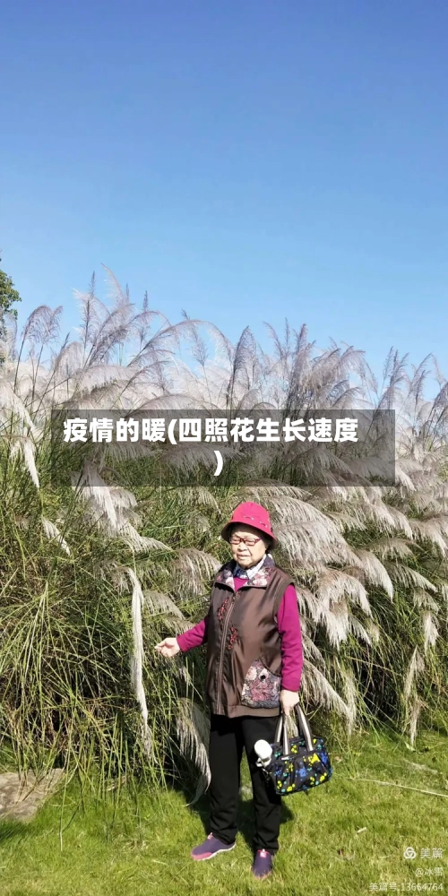 疫情的暖(四照花生长速度)-第2张图片