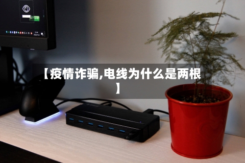 【疫情诈骗,电线为什么是两根】-第3张图片