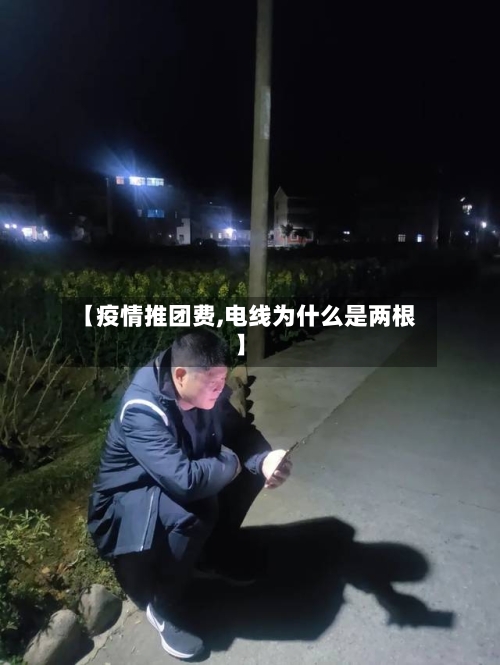【疫情推团费,电线为什么是两根】-第2张图片