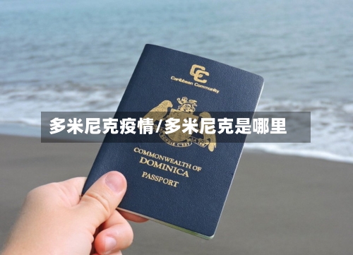 多米尼克疫情/多米尼克是哪里
