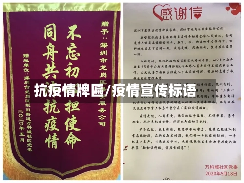 抗疫情牌匾/疫情宣传标语