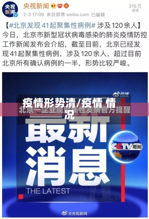 疫情形势清/疫情 情况-第3张图片