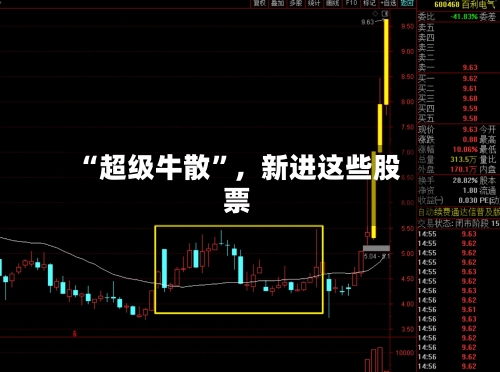 “超级牛散”，新进这些股票-第2张图片