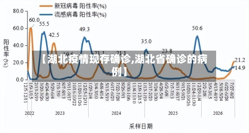 【湖北疫情现存确诊,湖北省确诊的病例】