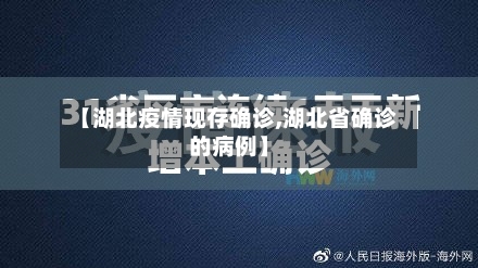 【湖北疫情现存确诊,湖北省确诊的病例】-第3张图片