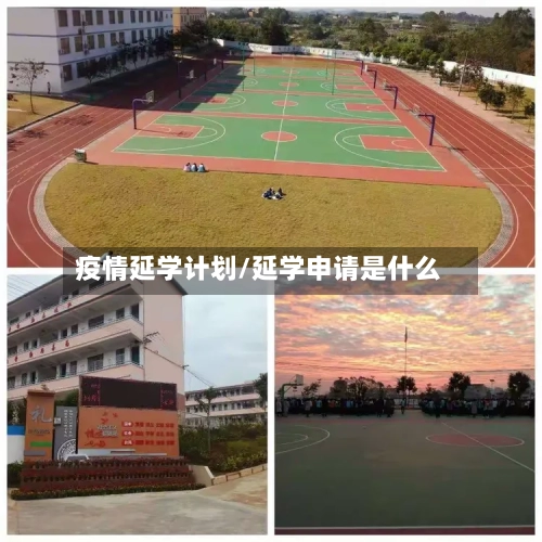 疫情延学计划/延学申请是什么-第2张图片