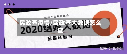 民政查疫情/民政查大数据怎么查