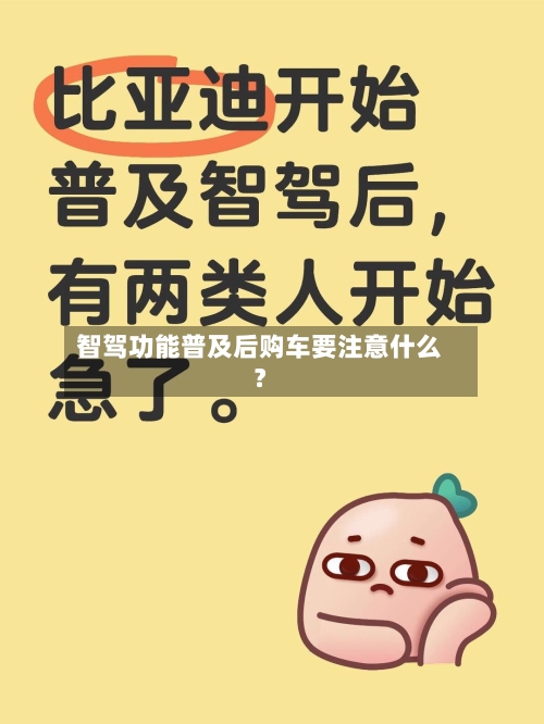 智驾功能普及后购车要注意什么？-第3张图片