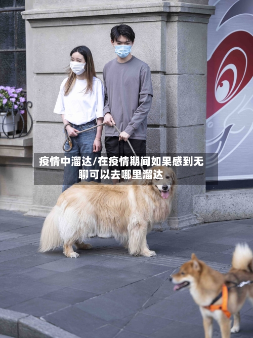 疫情中溜达/在疫情期间如果感到无聊可以去哪里溜达-第2张图片