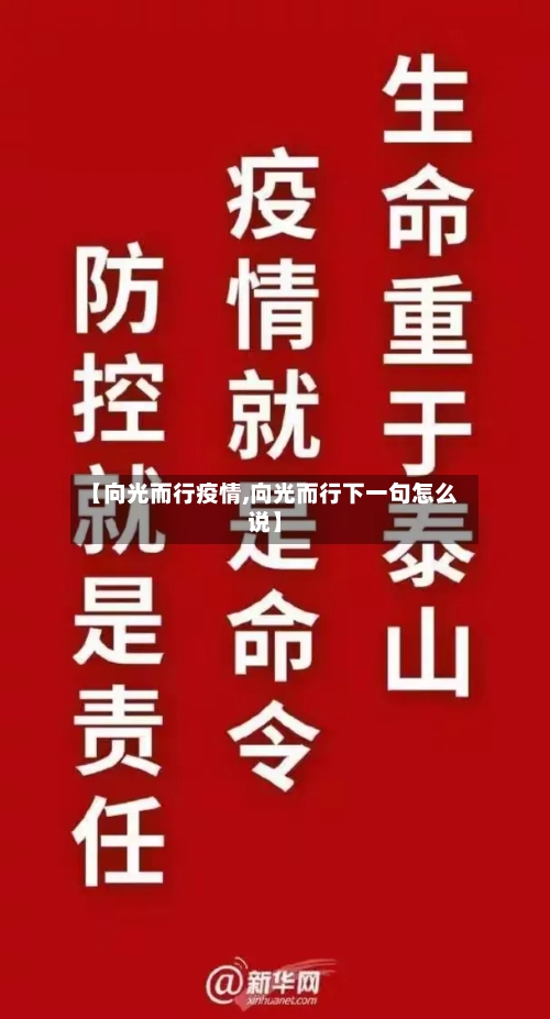 【向光而行疫情,向光而行下一句怎么说】