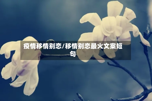 疫情移情别恋/移情别恋最火文案短句