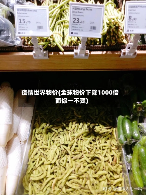 疫情世界物价(全球物价下降1000倍而你一不变)