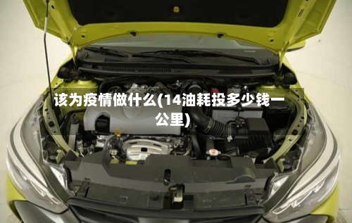 该为疫情做什么(14油耗投多少钱一公里)-第2张图片