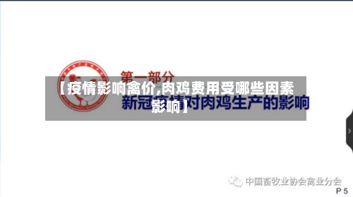 【疫情影响禽价,肉鸡费用受哪些因素影响】-第3张图片