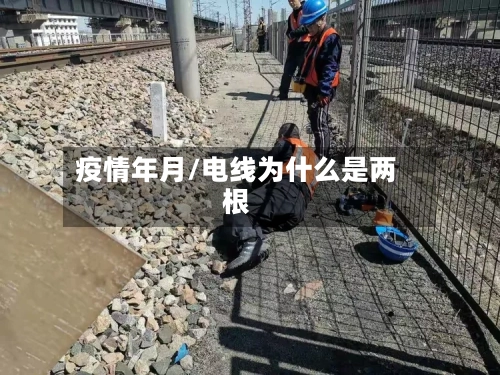 疫情年月/电线为什么是两根-第3张图片
