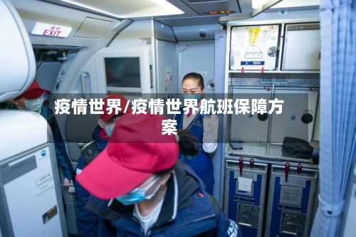 疫情世界/疫情世界航班保障方案-第2张图片