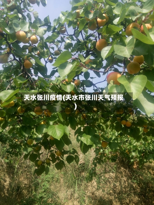 天水张川疫情(天水市张川天气预报)-第3张图片