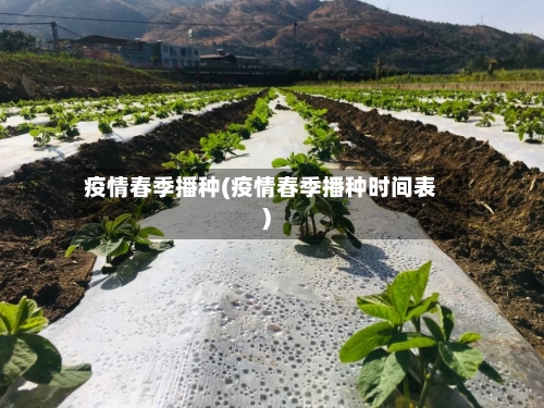 疫情春季播种(疫情春季播种时间表)