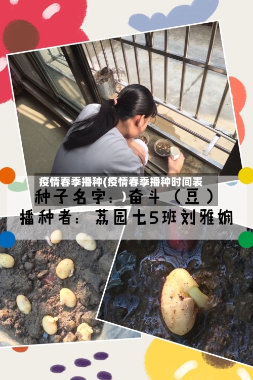 疫情春季播种(疫情春季播种时间表)-第2张图片
