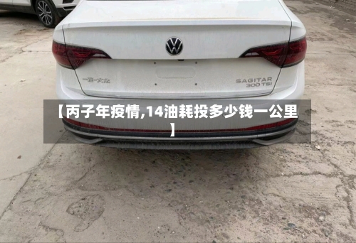 【丙子年疫情,14油耗投多少钱一公里】