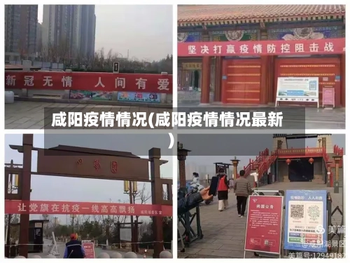 咸阳疫情情况(咸阳疫情情况最新)