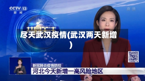 尽天武汉疫情(武汉两天新增)