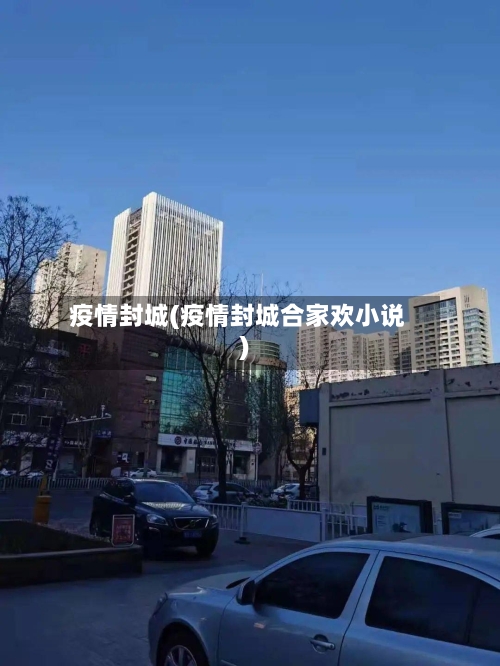 疫情封城(疫情封城合家欢小说)