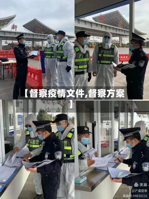 【督察疫情文件,督察方案】-第3张图片
