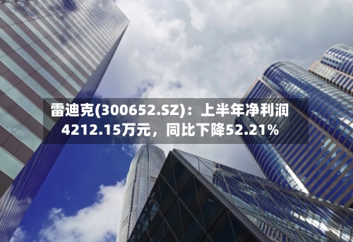 雷迪克(300652.SZ)：上半年净利润4212.15万元，同比下降52.21%-第2张图片
