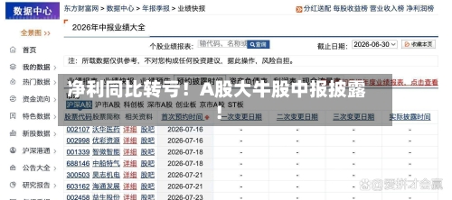 净利同比转亏！A股大牛股中报披露！