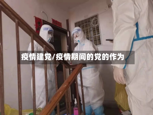 疫情建党/疫情期间的党的作为