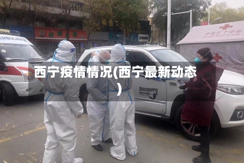 西宁疫情情况(西宁最新动态)