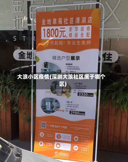大浪小区疫情(深圳大浪社区属于哪个区)
