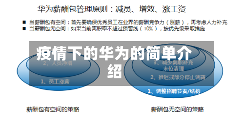 疫情下的华为的简单介绍