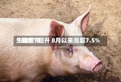 生猪费用“磨底”回升 8月以来涨超7.5%