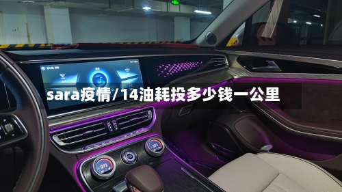 sara疫情/14油耗投多少钱一公里