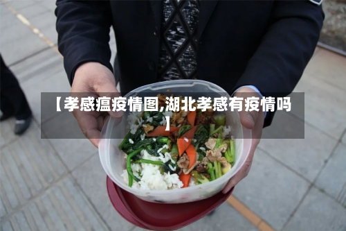 【孝感瘟疫情图,湖北孝感有疫情吗】-第3张图片