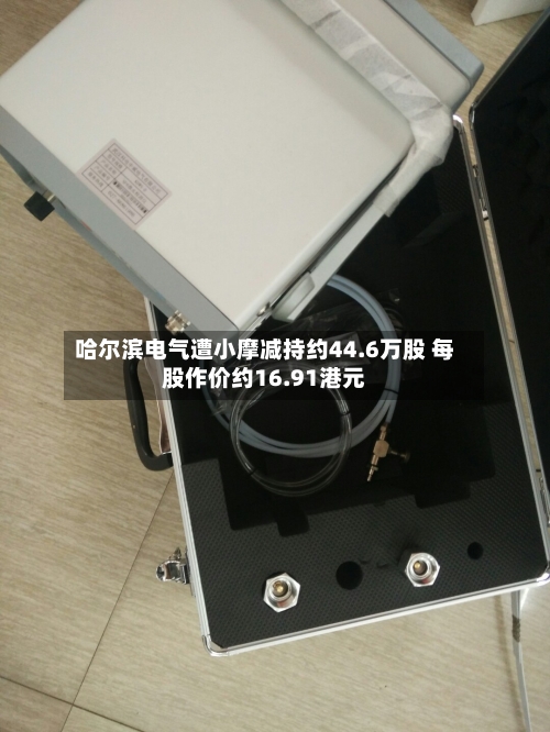 哈尔滨电气遭小摩减持约44.6万股 每股作价约16.91港元-第2张图片