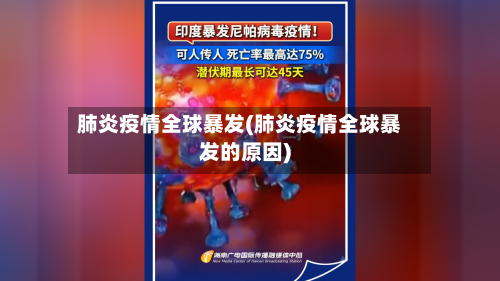 肺炎疫情全球暴发(肺炎疫情全球暴发的原因)-第3张图片