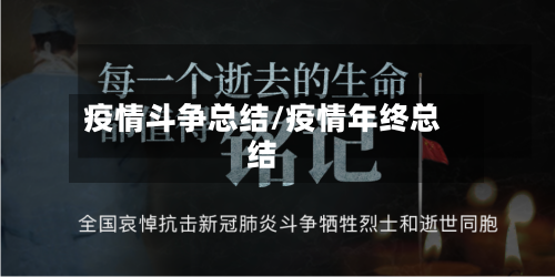 疫情斗争总结/疫情年终总结-第2张图片