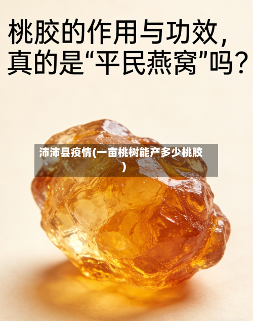 沛沛县疫情(一亩桃树能产多少桃胶)
