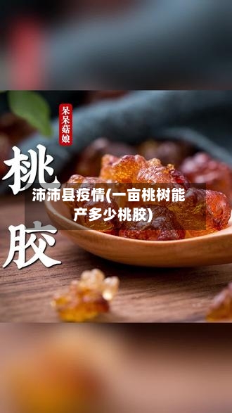 沛沛县疫情(一亩桃树能产多少桃胶)-第2张图片