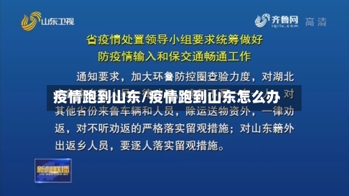 疫情跑到山东/疫情跑到山东怎么办-第2张图片