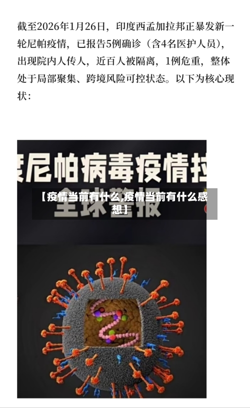 【疫情当前有什么,疫情当前有什么感想】-第3张图片