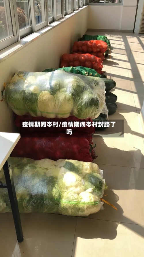 疫情期间岑村/疫情期间岑村封路了吗