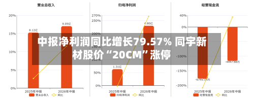 中报净利润同比增长79.57% 同宇新材股价“20CM”涨停-第2张图片